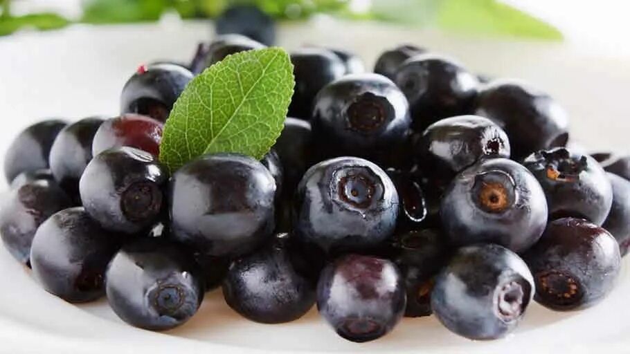 Acai berry. Ягоды асаи. Асаи и голубика. Ягоды Acai Berry. Асаи чача.