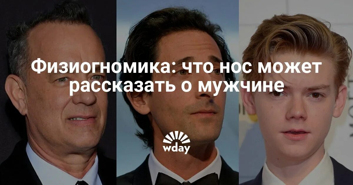 О чем говорит нос мужчины. Широкий нос физиогномика. Длинный нос физиогномика. Длинный нос у мужчины физиогномика. Полоска на носу вертикальная физиогномика.