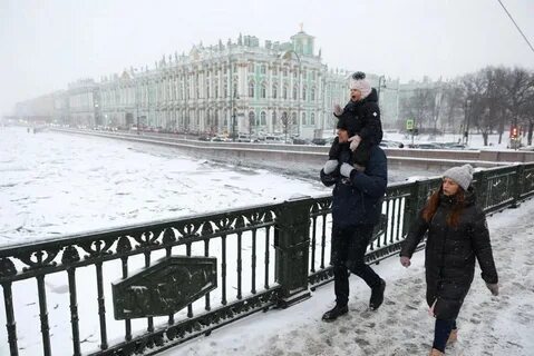 Холод спб