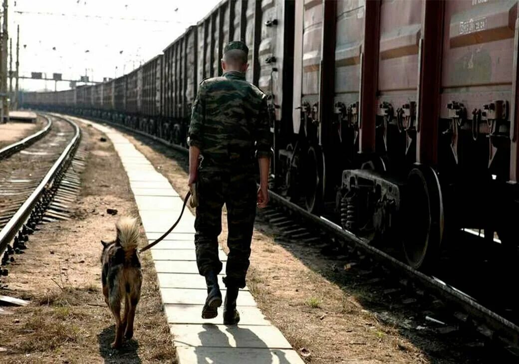 Принадлежащий железной дороге. Военизированная охрана. Охрана ЖД грузов. Пограничники ЖД. Военизированная Железнодорожная охрана.