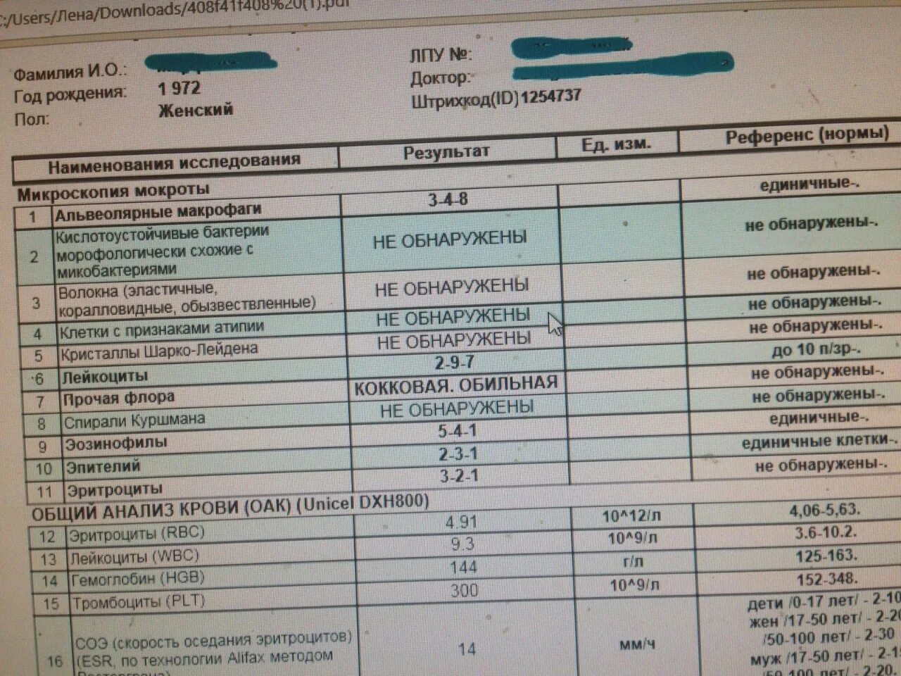 Расшифровка мокроты. Общий анализ мокроты. Исследование мокроты показатели. Анализ мокроты микроскопическое исследование. Общий анализ мокроты норма.