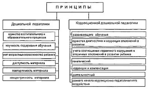 Общие и специальные принципы обучения