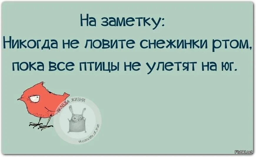 Ешь пока рот. Смешные заметки. Смешные заметки в картинках. Заметки с юмором. Записка юмор.