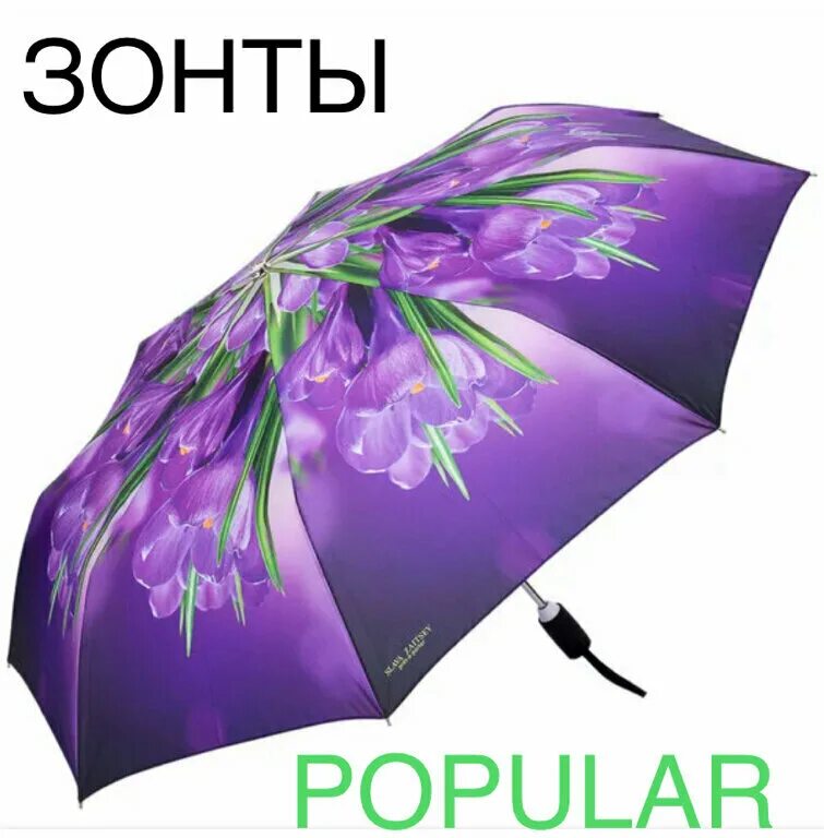 Озон интернет магазин зонт. Зонты женские на валберис. Зонт складной doppler wild poppy. Озон интернет магазин зонт. Озон интернет магазин зонт.
