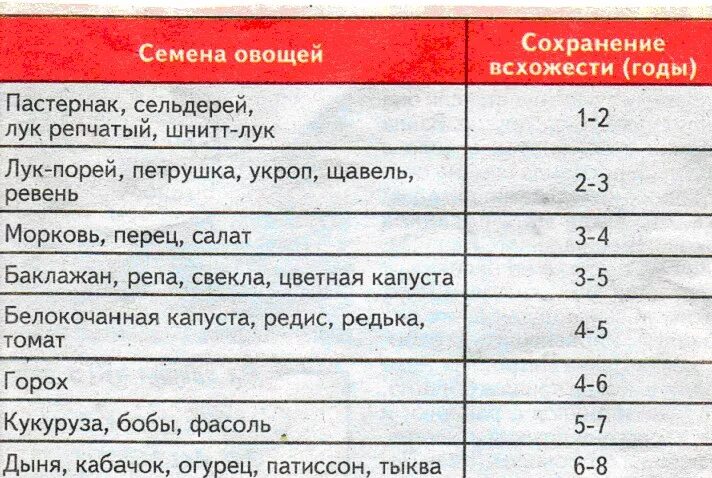 Семена сроки годности всхожести. Срок хранения семян. Сроки всхожести семян овощей. Сроки сохранности семян овощей. Срок годности семян овощей.