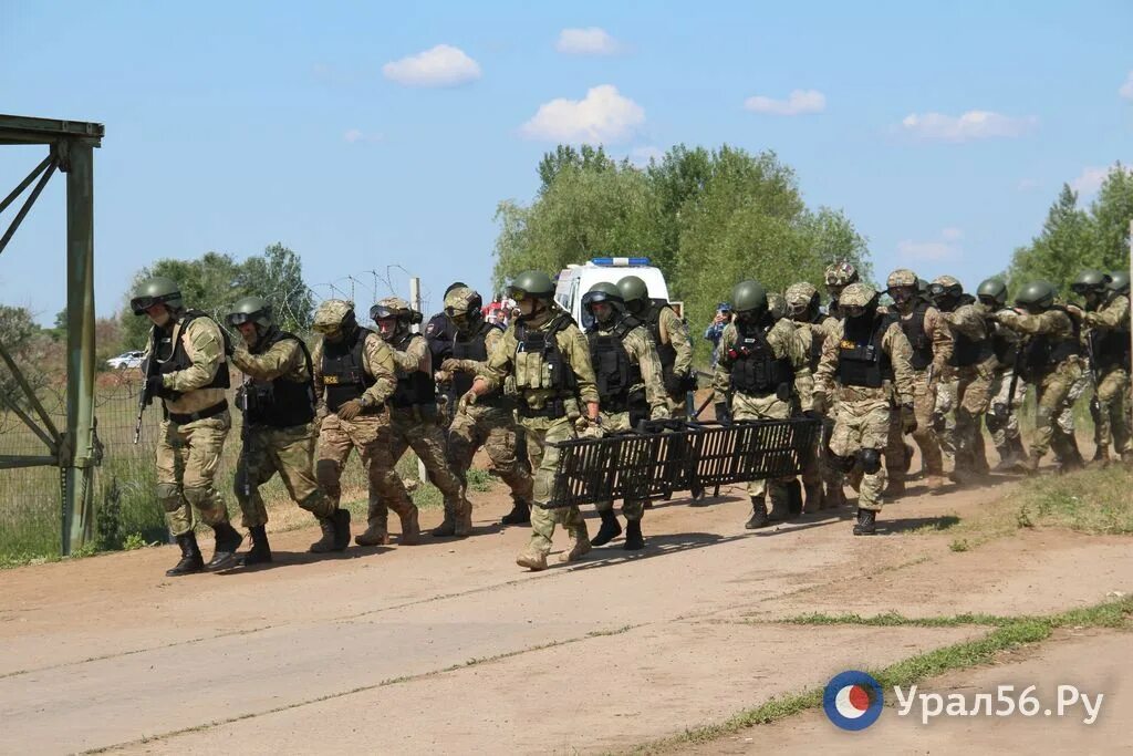 П тоцкое оренбургской. Спецназ учения. Полигон Тоцкое в Оренбургской области. Учения в Тоцком 2023. Учения сигнал Тоцкое.