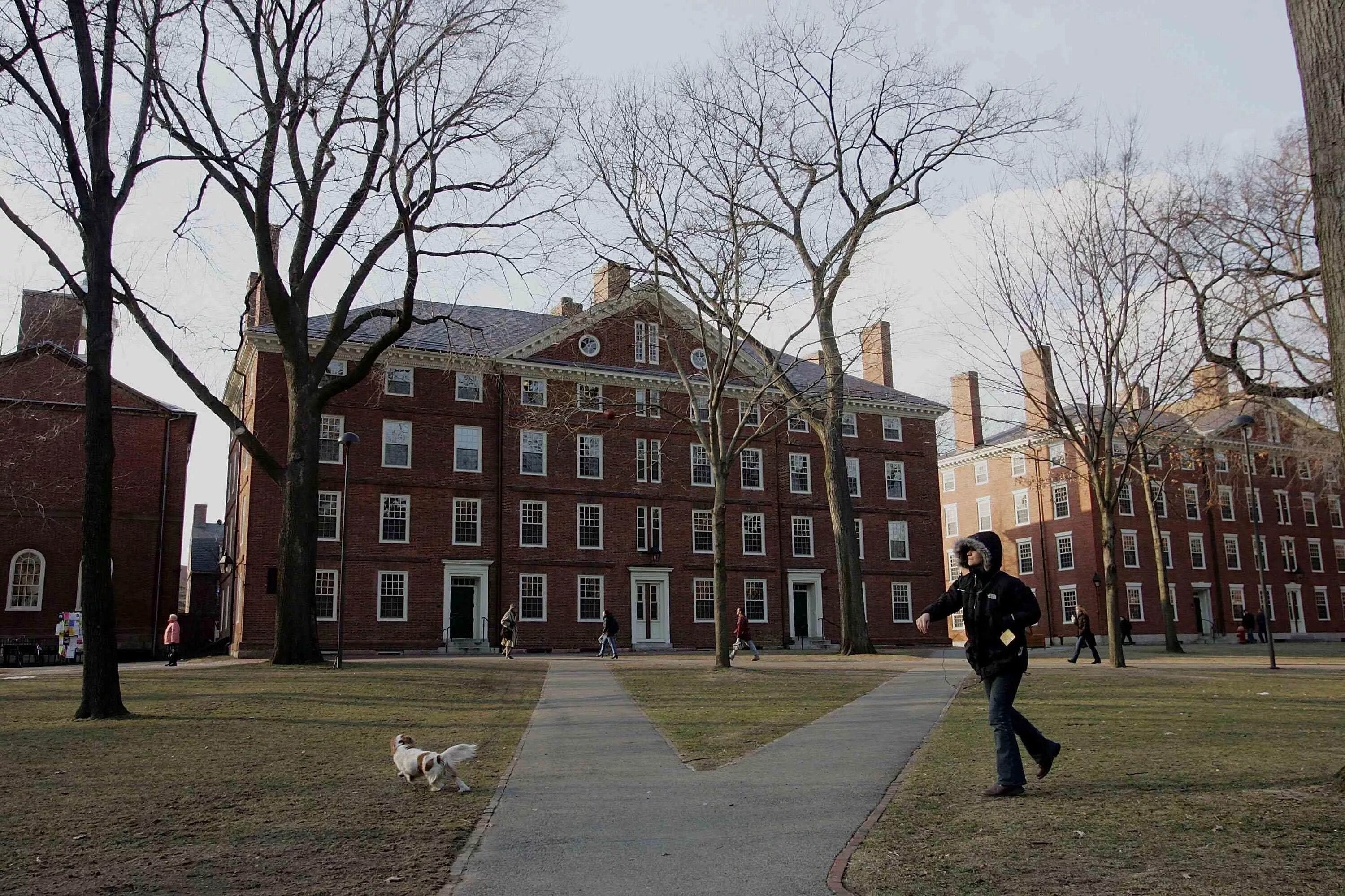 Harvard university cambridge. Гарвардский университет (Harvard University), США. Бостон Гарвард. Гарвардский университет Кембридж США. Гарвардский университет США Бостон.