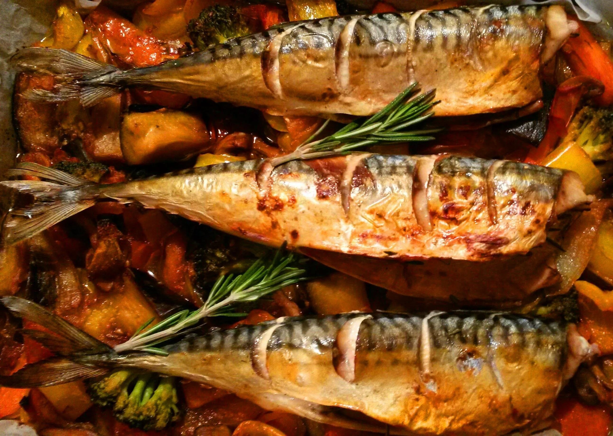 Рецепт приготовления рыба с овощами. Рыба скумбрия в духовке. Скумбрия кусочквмизапеченная. Скумбрия запеченная в духовке с овощами. Скумбрия запеченная в духовке в фольге с овощами.