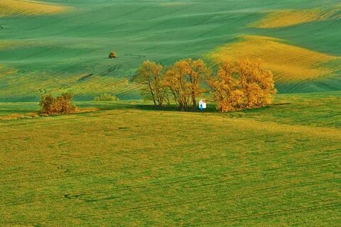 Осень луг и поле