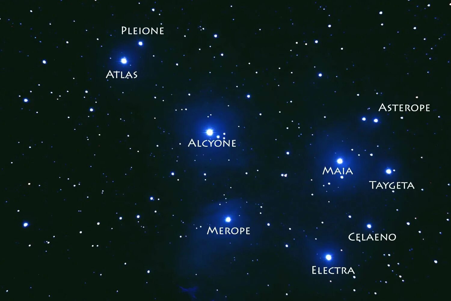 Созвездие звезды плейона. Звезда Альциона созвездия Плеяд. Альциона в созвездии тельца. Альциона звезда в созвездии тельца. Плеяды в созвездии тельце.