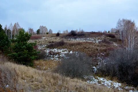 Осенний овраг