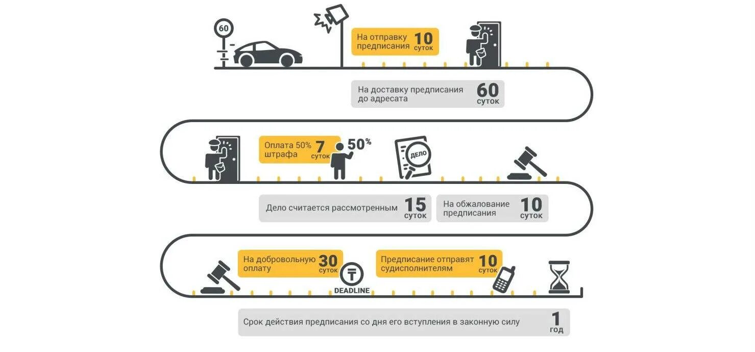 Процент оплаты штрафов гибдд. Штраф инфографика. Инфографика обжалование штрафов. Штрафы ГИБДД. Оплата штрафа.