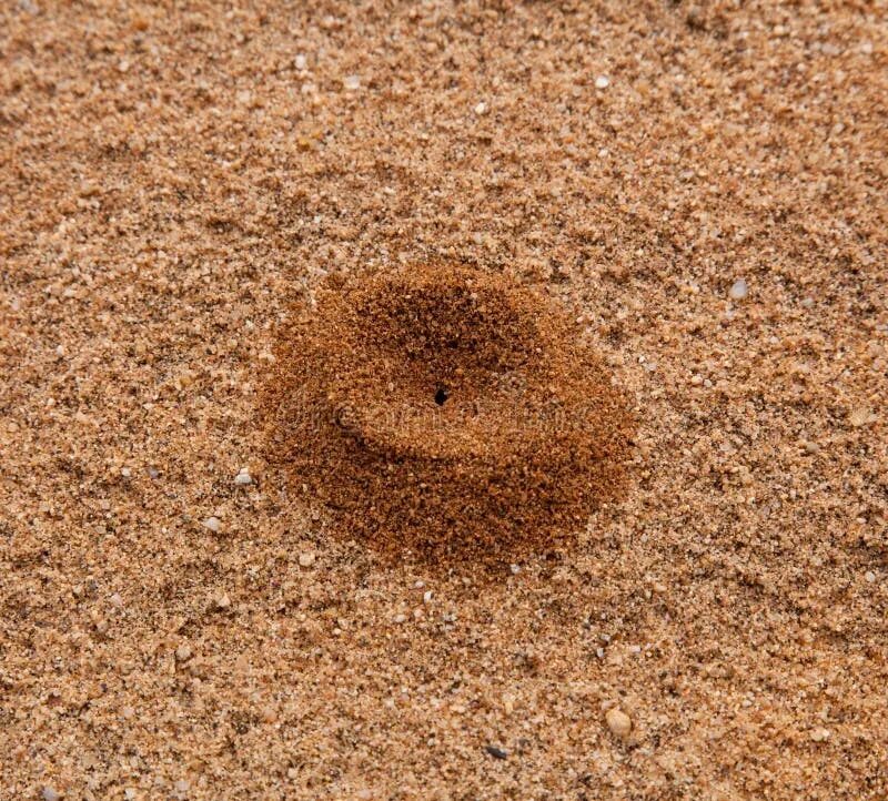 Маленькая песчинка. Муравейник в песке. Дырка в песке. Маленькая кучка из песка. Песчаные кучки на дне.