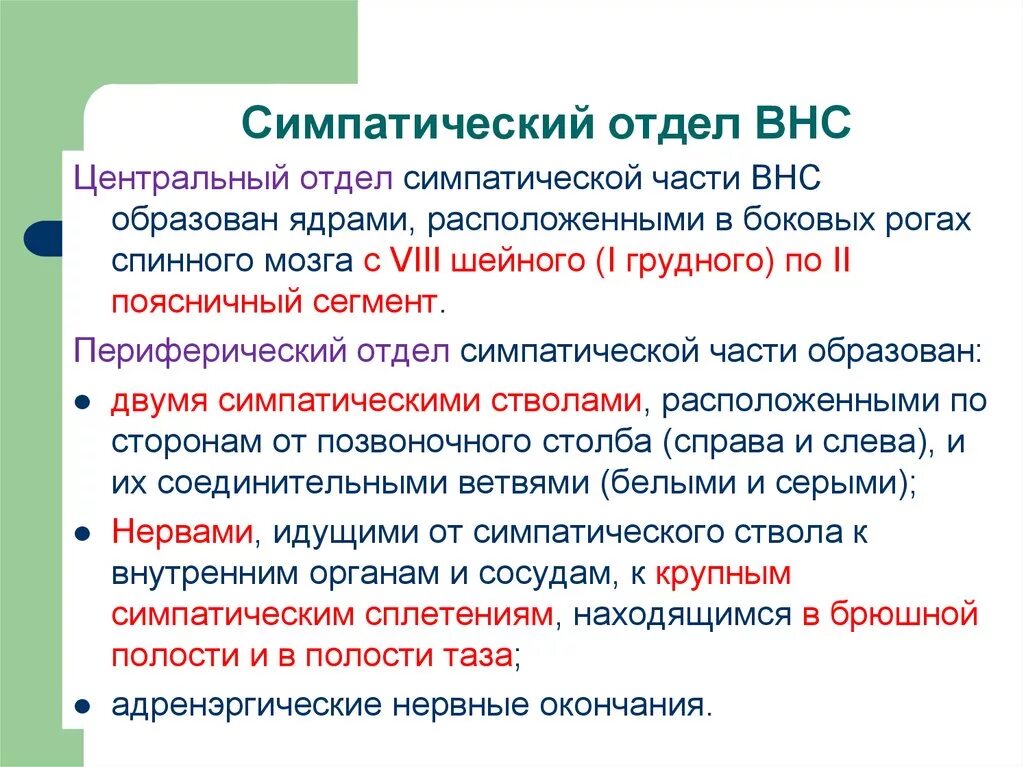 Симпатический отдел. Симпатический отдел ВНС. Центральный отдел симпатической части ВНС. Симпатический отдел автономной нервной системы. Функции высшей нервной системы