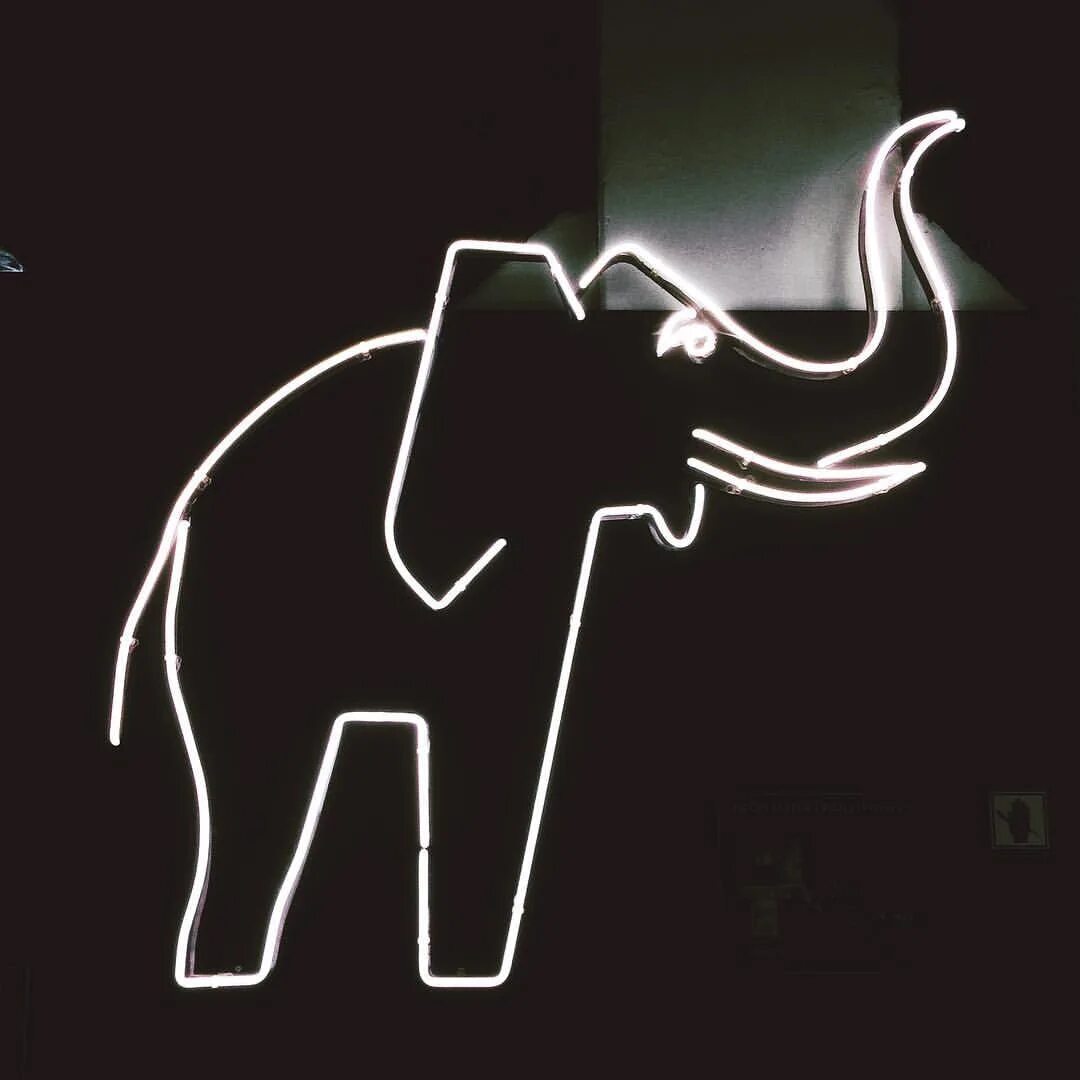 Neon elephant. Слон неон. Слон (Польша, 2022). Slon Neon. Tachikara Neon Elephant.