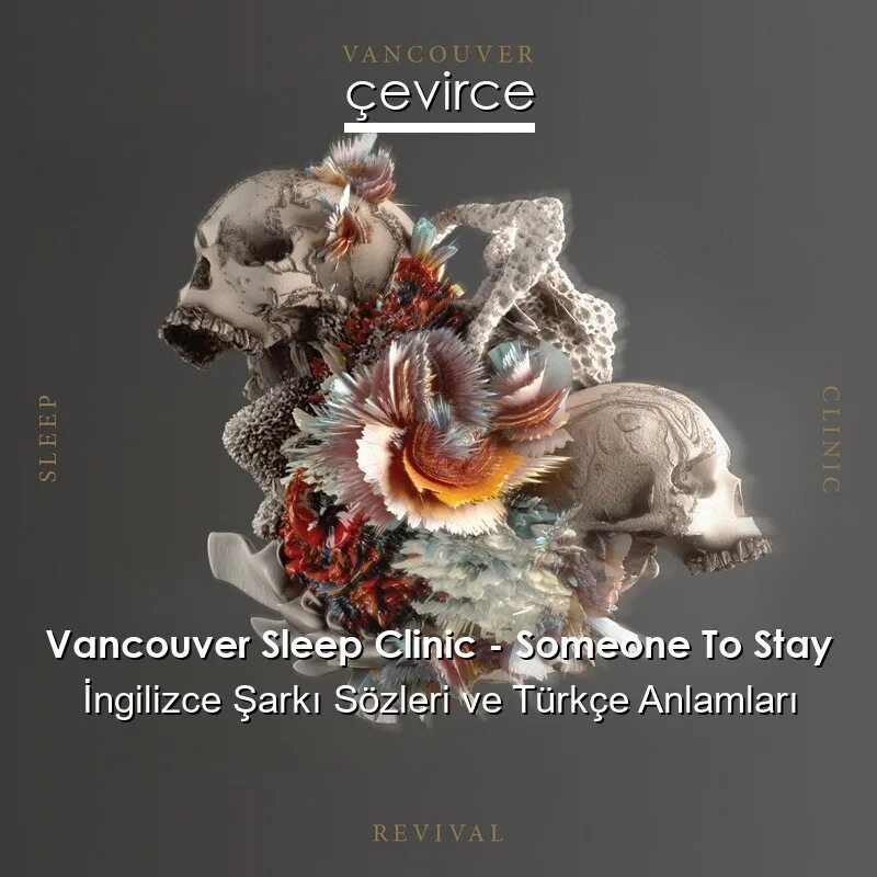 Someone to stay vancouver. Vancouver sleep clinic. Someone to stay vancouver sleep clinic. Someone to stay vancouver sleep clinic. Someone to stay vancouver sleep clinic.