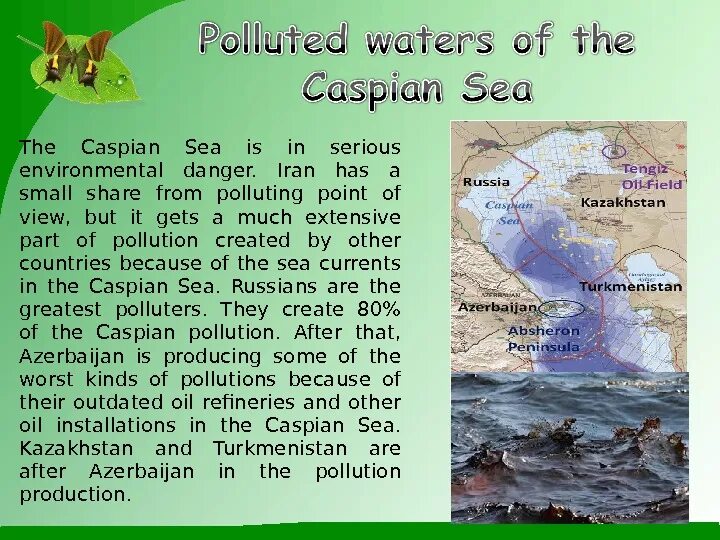 What are the most serious environmental problems. Ecological problems презентация. каспийское море на английском. проблемы каспийского моря. черное море на английском.