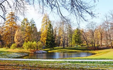 Погода в пушкино петербург
