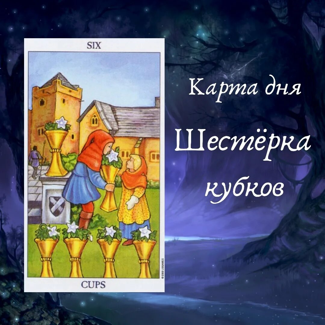 6 кубков карта дня