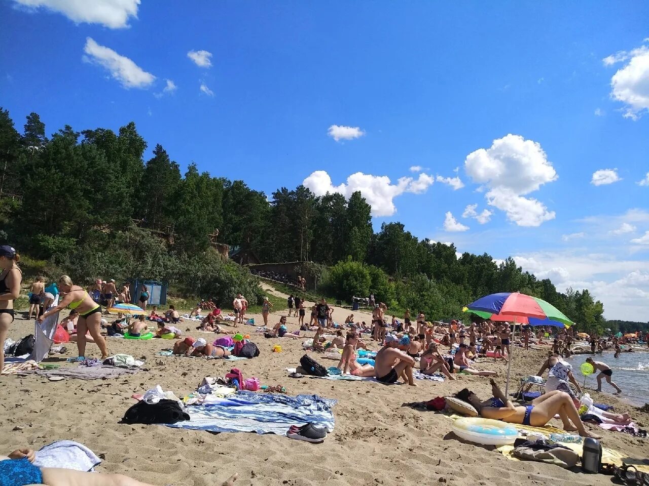 Погода в бердске. Бердск летом. Климат Бердска. Обское море жара. Обское море жара Новосибирской области.