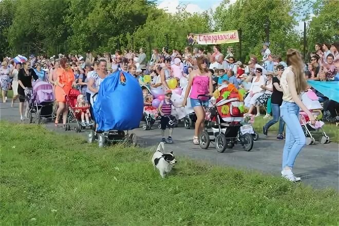 Канаши шадринский