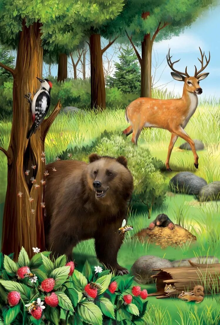 Изображения дикие животные. Жители леса. Животные на л. Животные леса. Лес с животными для детей.