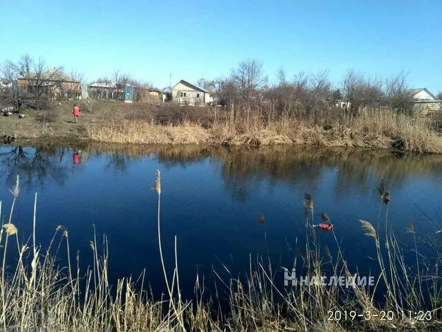 Масаловка каменский. Хутор дубовой Каменский район. Хутор Плешаков Каменский район Ростовская область. Хутор Масаловка. Масаловка Каменский район.