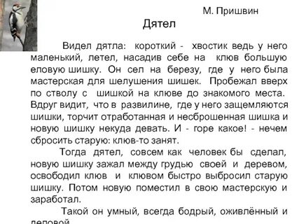 Доктор пришвин