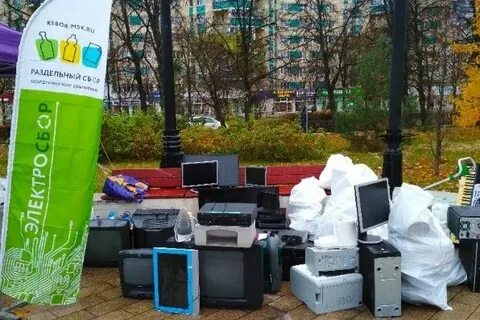 Электроосень 2024