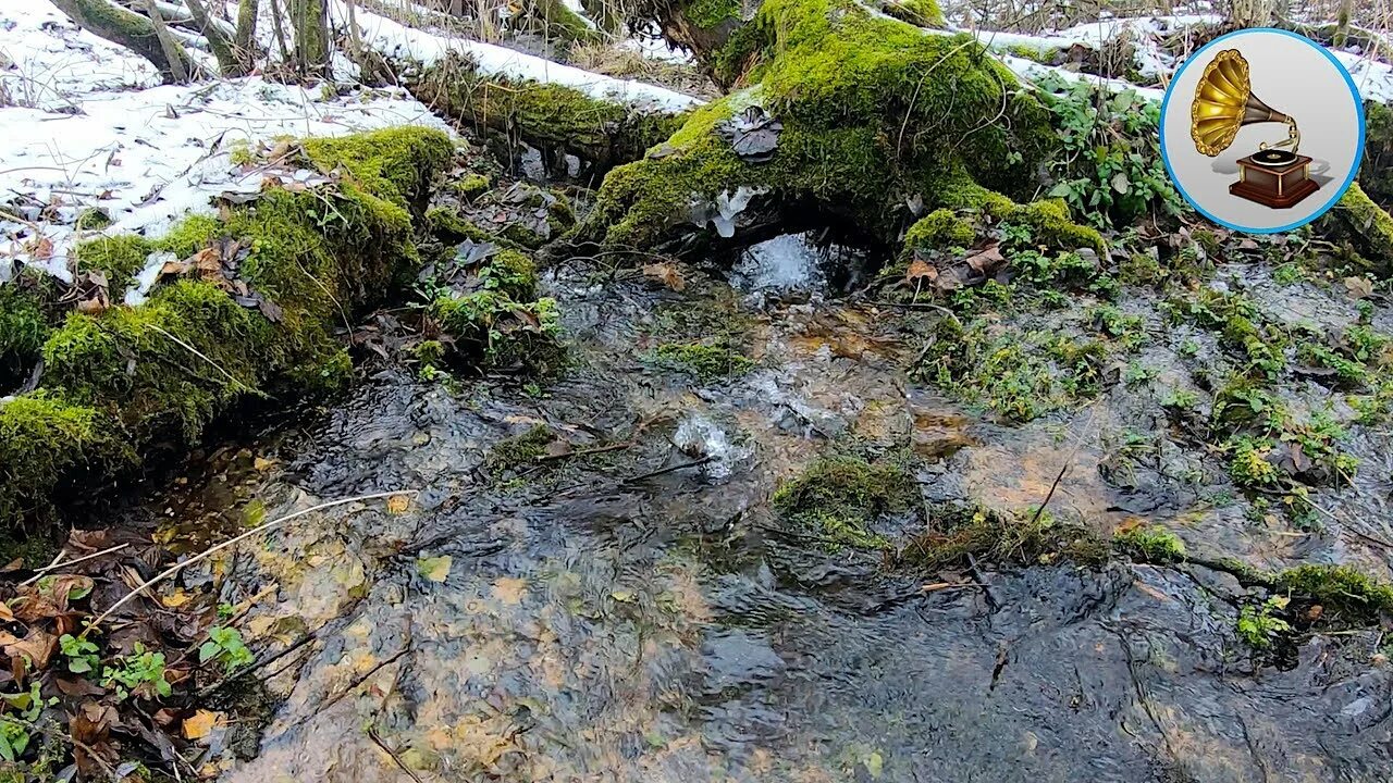 Шум воды и ручья. Шум ручья и пение птиц. Журчание воды ручей. Журчание ручья звук.