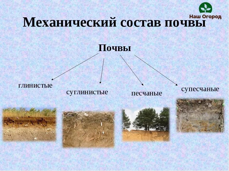 Механический состав почвы виды. Механ состав почвы. Механический состав почвы и структура почвы. Механический состав почв России. Состав почвы 6 класс география