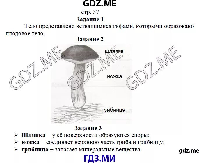 Биология 5 класс рабочая тетрадь стр 89. Рабочая тетрадь по биологии 5 класс Корнилова. Биология 5 класс Пономарева Николаев Корнилова страница 37.