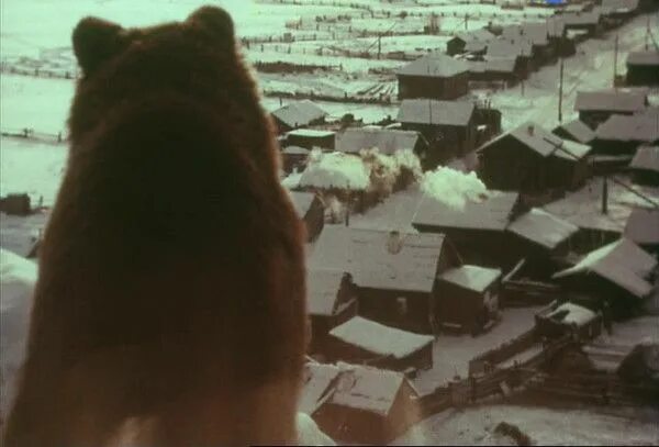 Продаётся медвежья шкура. Продается медвежья шкура распутин. Продается медвежья шкура 1980г. Продается медвежья шкура. Продается медвежья шкура распутин.