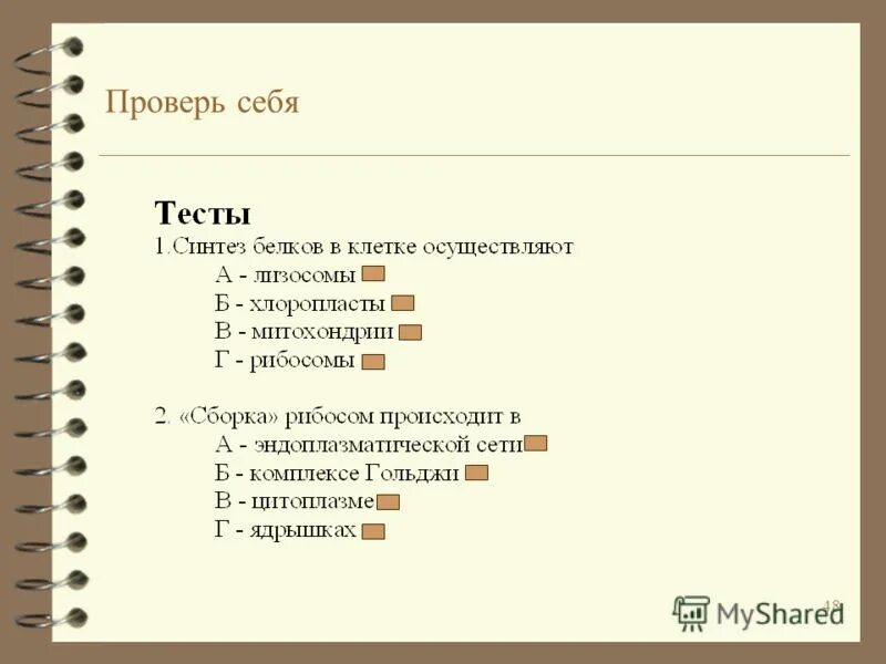 Содержание четвертой. Содержание четвертой