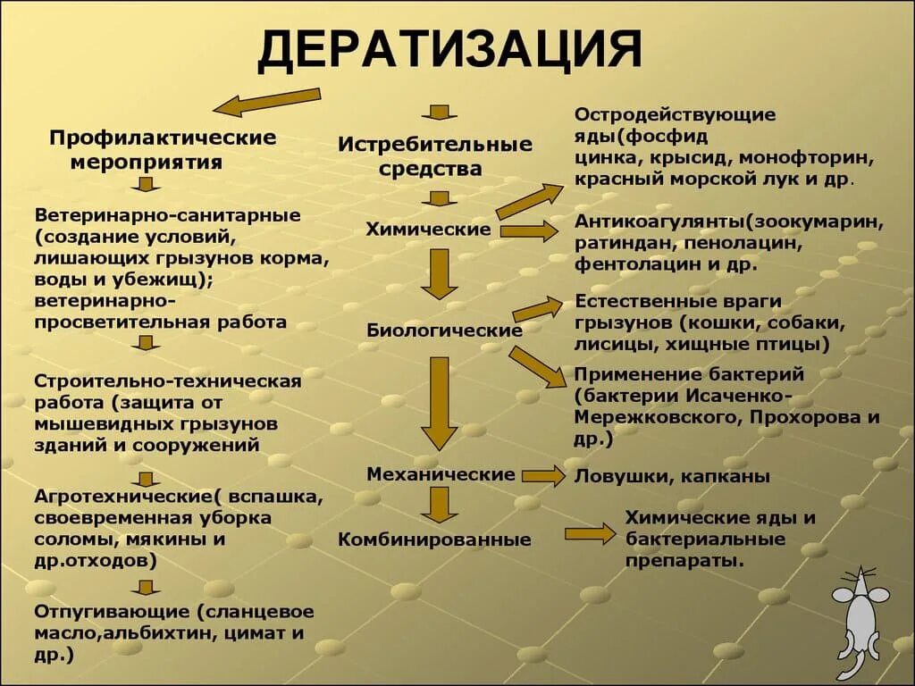 Организация дератизации