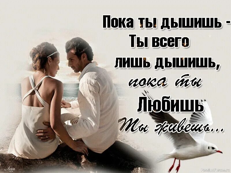 Всего лишь 2 часа