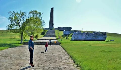 Крупное реликтовое животное рядом с саур могилы