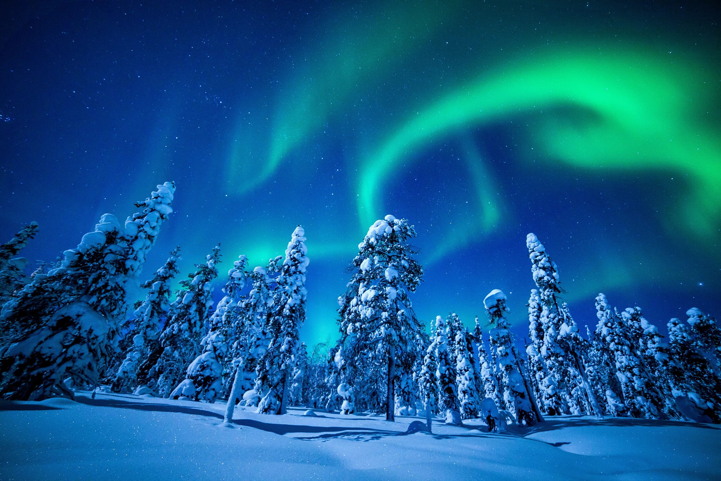 Северный новый год. Финляндия зима Лапландия. Северное сияние в Финляндии. Northern Lights Ranch, Лапландия Финляндия. Финляндия природа Северное сияние.