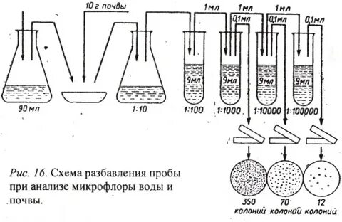 Методы контроля микроорганизмов