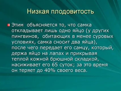 Плодовитость