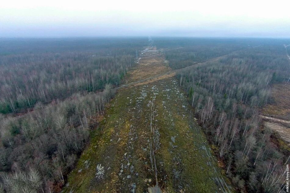 Петербург на болоте. Санкт-Петербург болото. Питер болото. Дорога холм Подберезье. Болота Петербурга до основания.