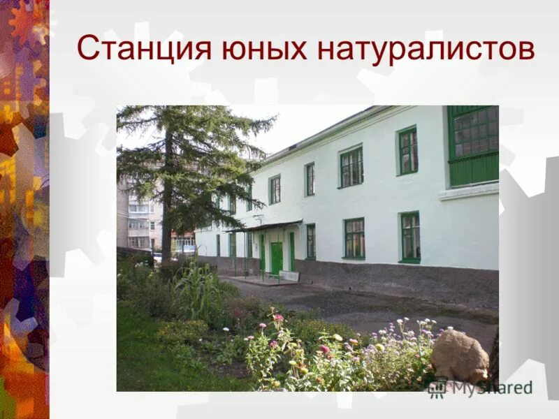 Станция юных. Станция юных натуралистов. станцияных натуралисьов. сайт станция юных натуралистов города выборга. станция юный.