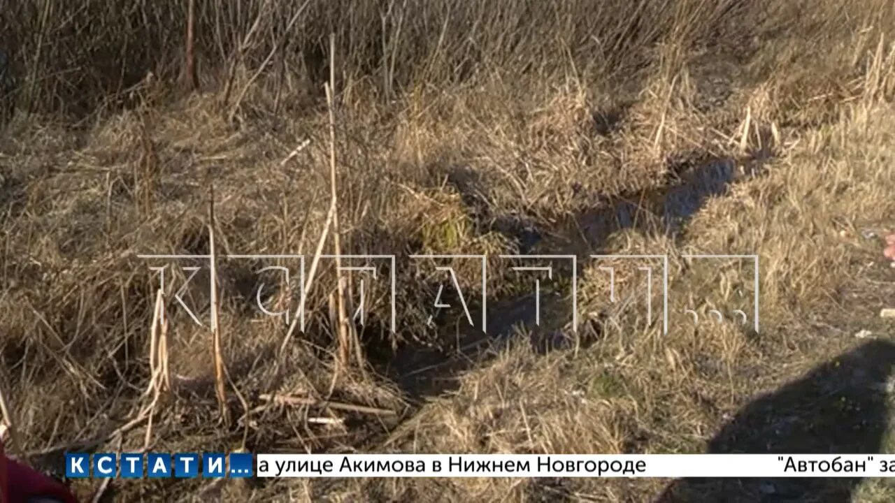 Нашли затонувший 70 лет назад самолет. Пропавшие девочки в Нижегородской области.