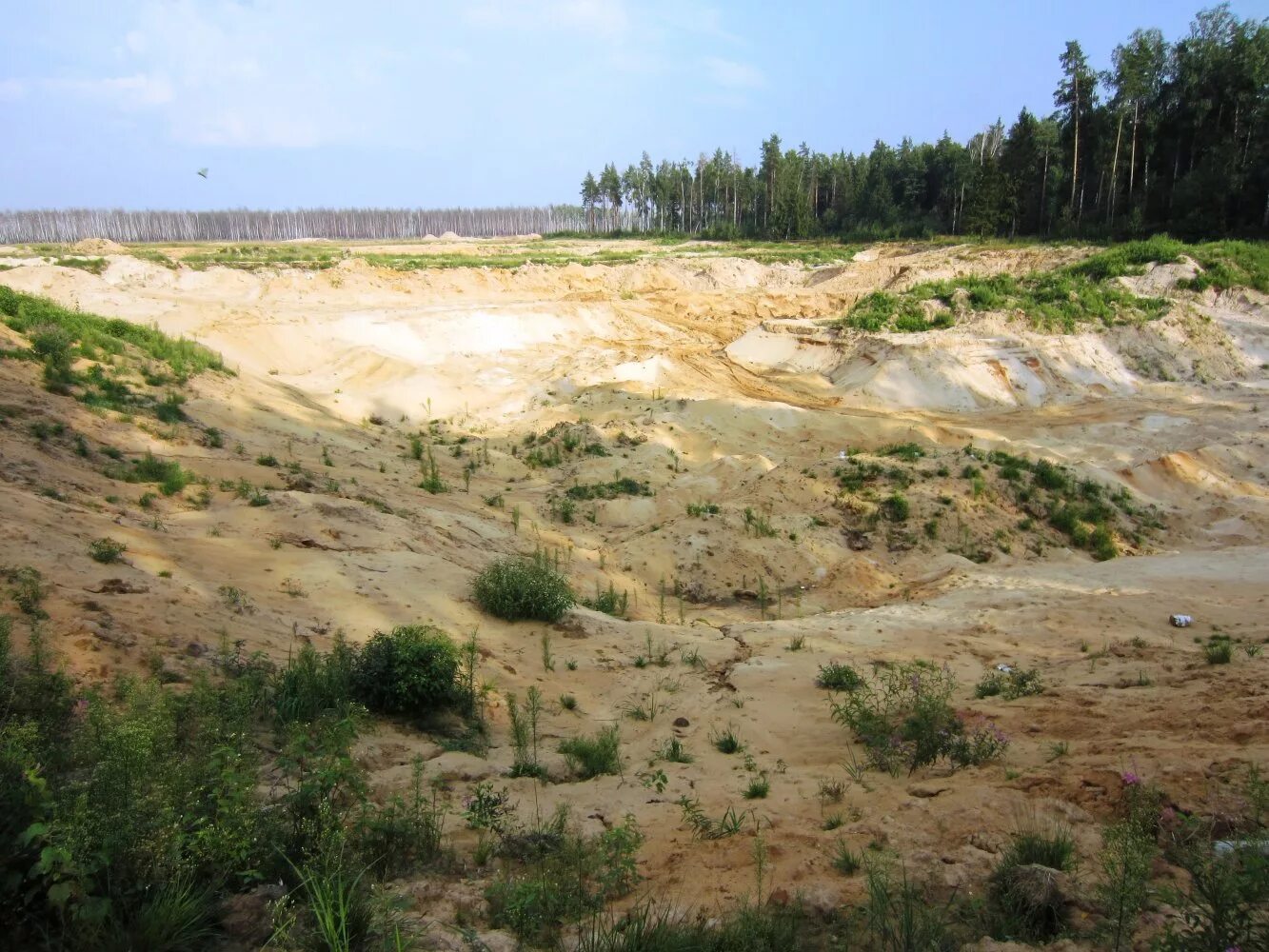 карьер купавна 2. карьеры в купавне. карьер старая купавна. карьеры купавны. карьер рыбхоз старая купавна.