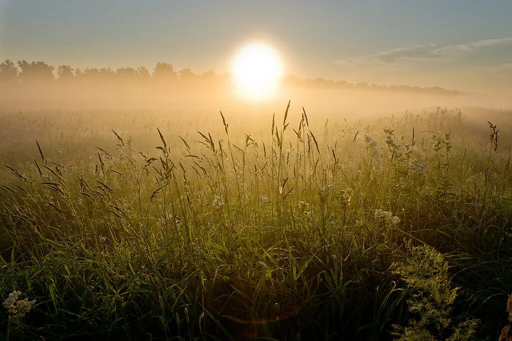 Раннее утро. Каждое утро раннее утро. Рассвет летом. Раннее летнее утро. Утренний рассвет.