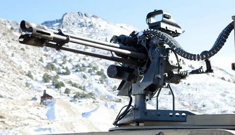 Gun 19