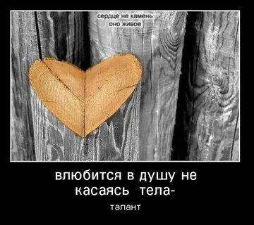 Зачем твоя любовь когда слова