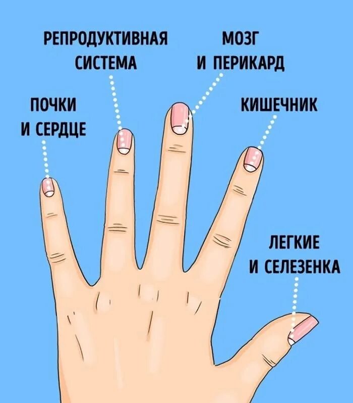Покалывание в мизинце правой руки. Значение колец ес пальцах. Обозначения на пальцах руки. Обозначение ношения колец. Что обозначает ношение колец на пальцах рук у женщин.