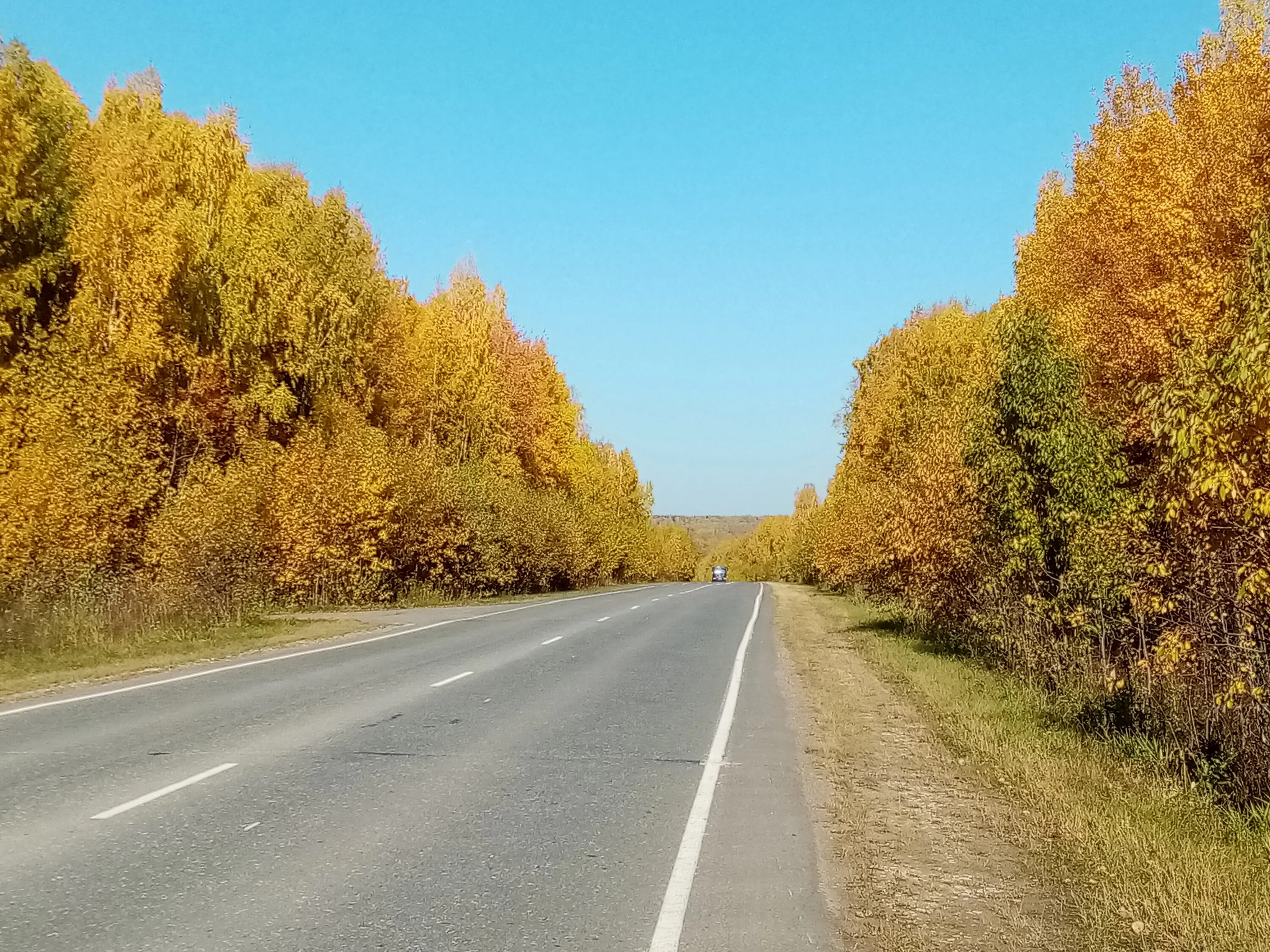 Октября станет в россии. Пермь осень. Осенняя дорога Пермский край. Золотая осень Пермь. Пермь осенью.