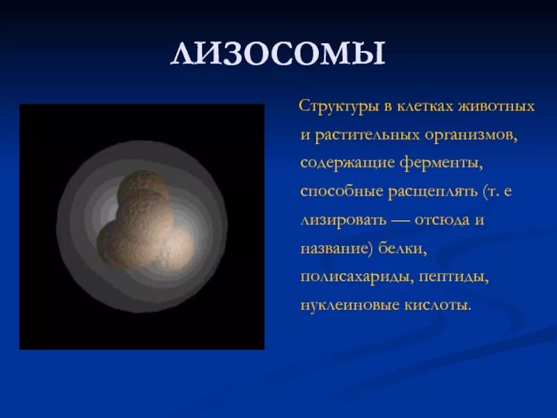 Лизировать это